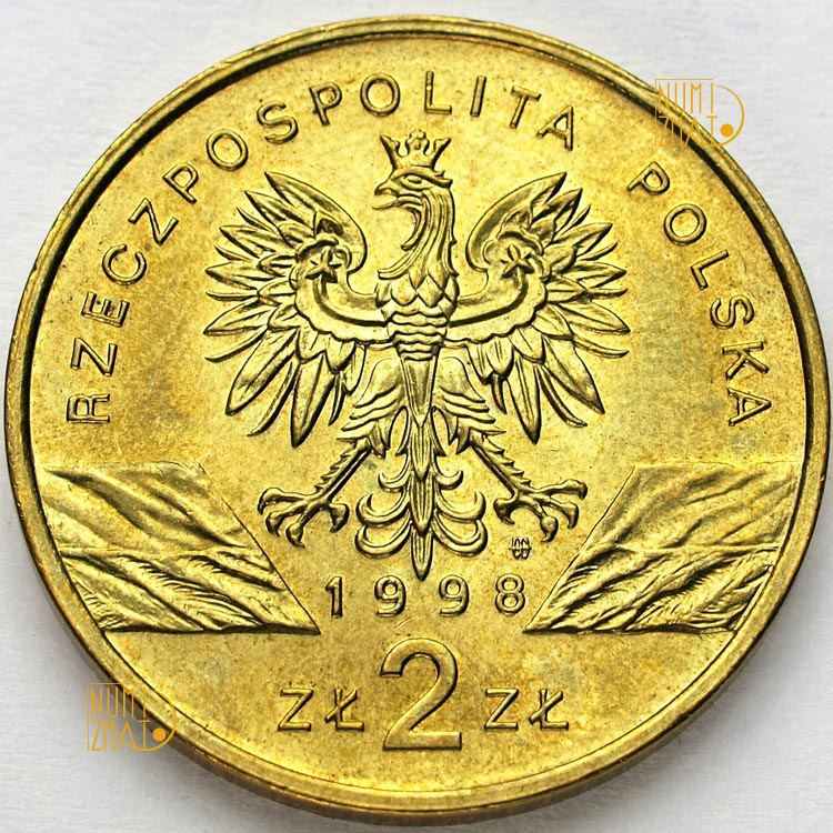 Zdjęcie 2