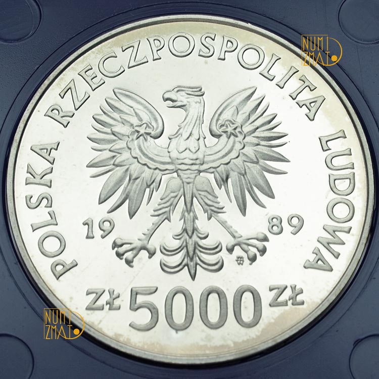 Zdjęcie 2