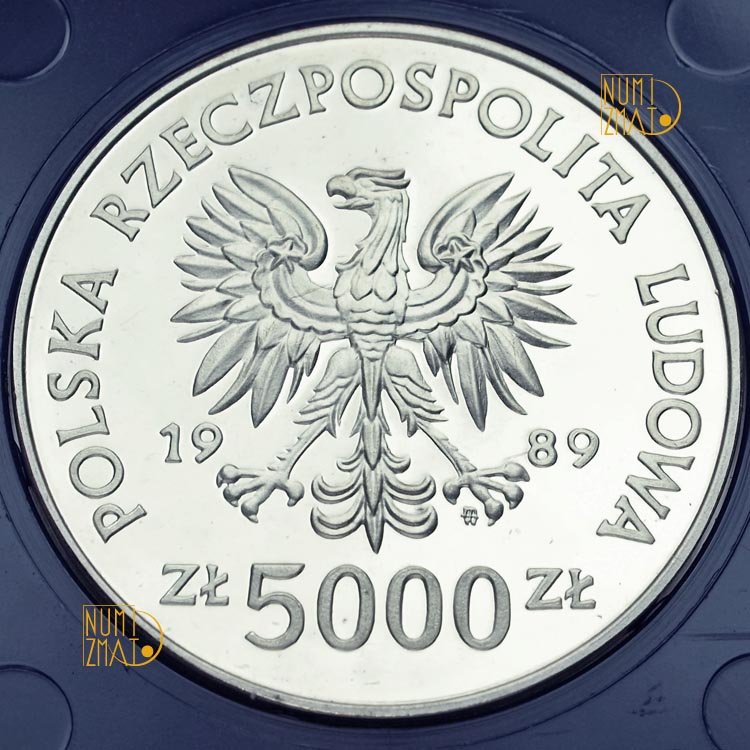 Zdjęcie 2