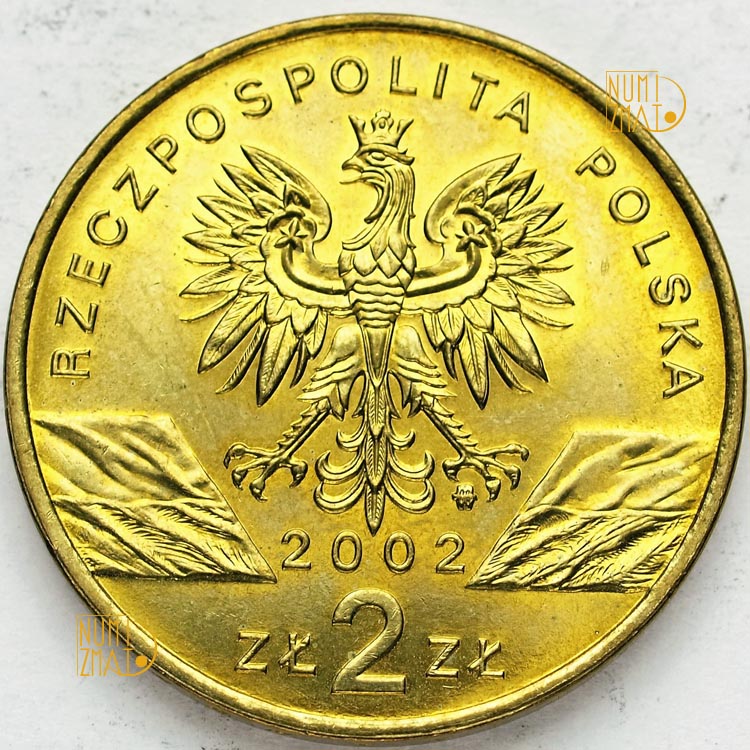 Zdjęcie 2