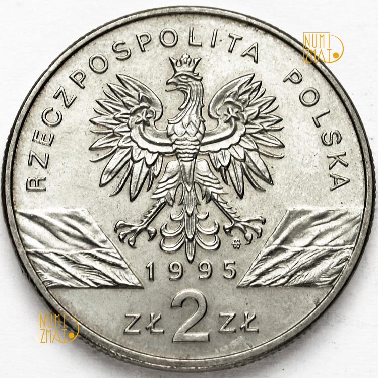 Zdjęcie 2