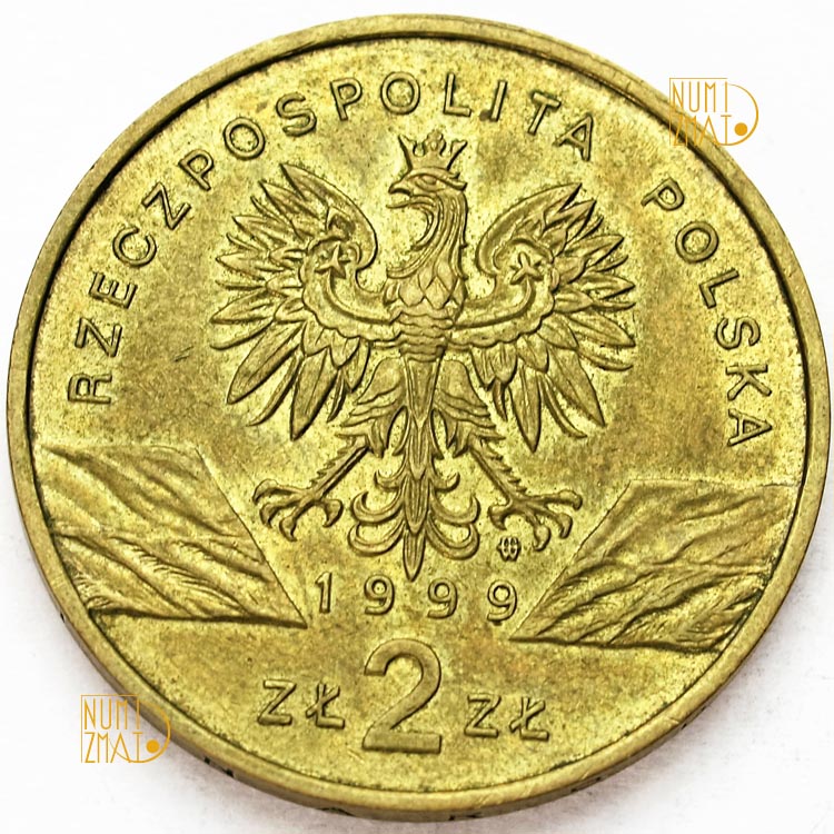 Zdjęcie 2