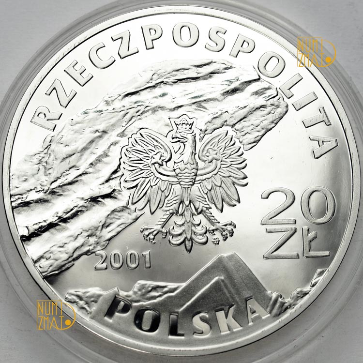 Zdjęcie 2