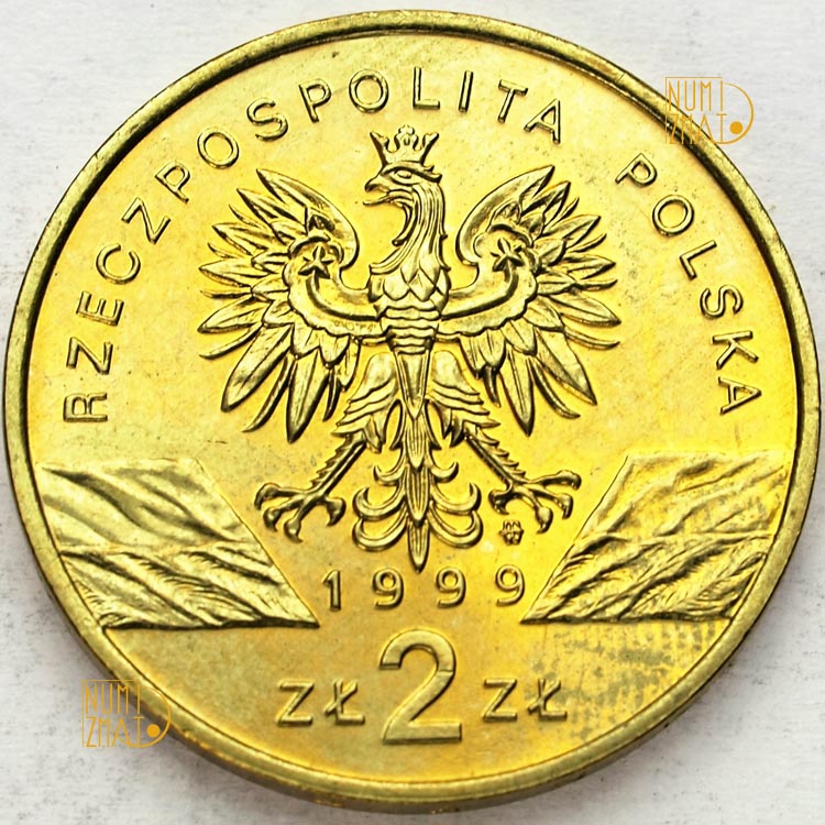 Zdjęcie 2
