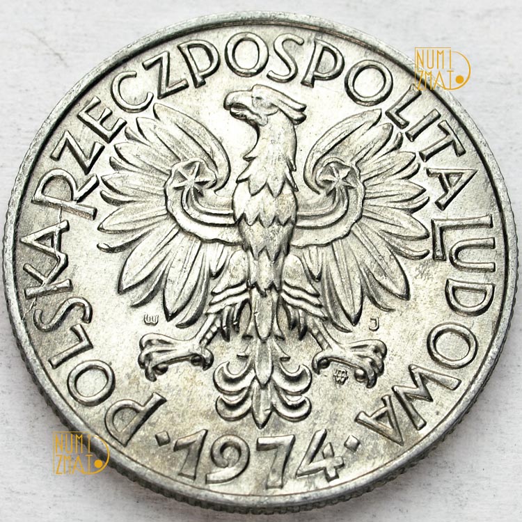 Zdjęcie 2