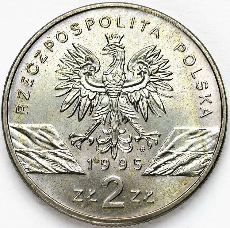 Zdjęcie 2