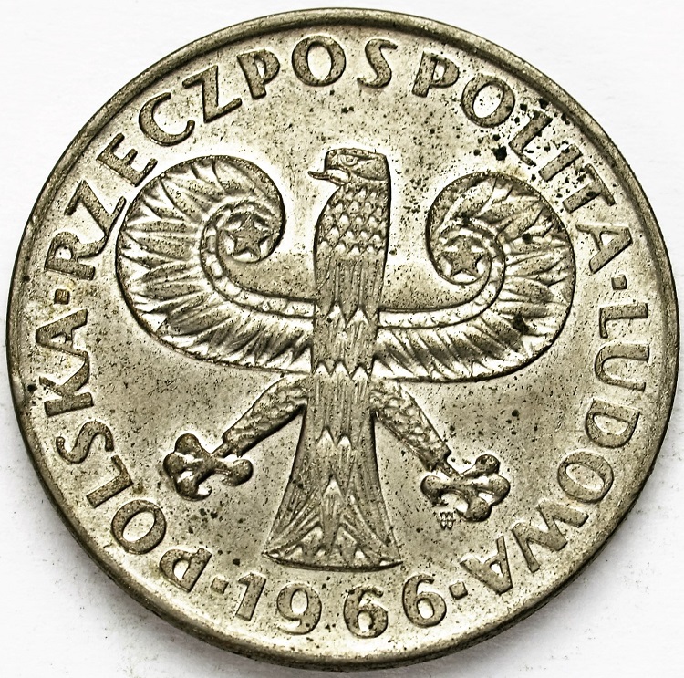 Zdjęcie 2