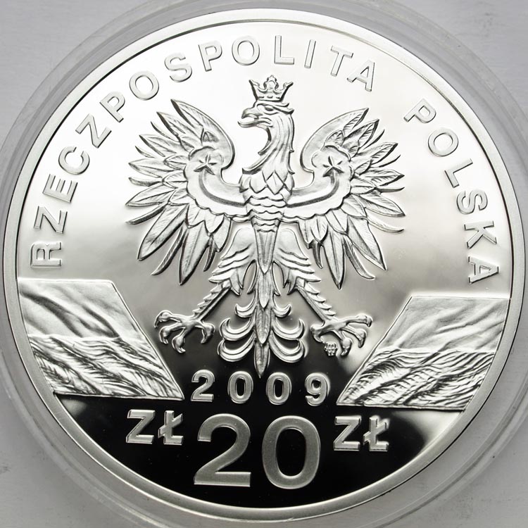 Zdjęcie 2
