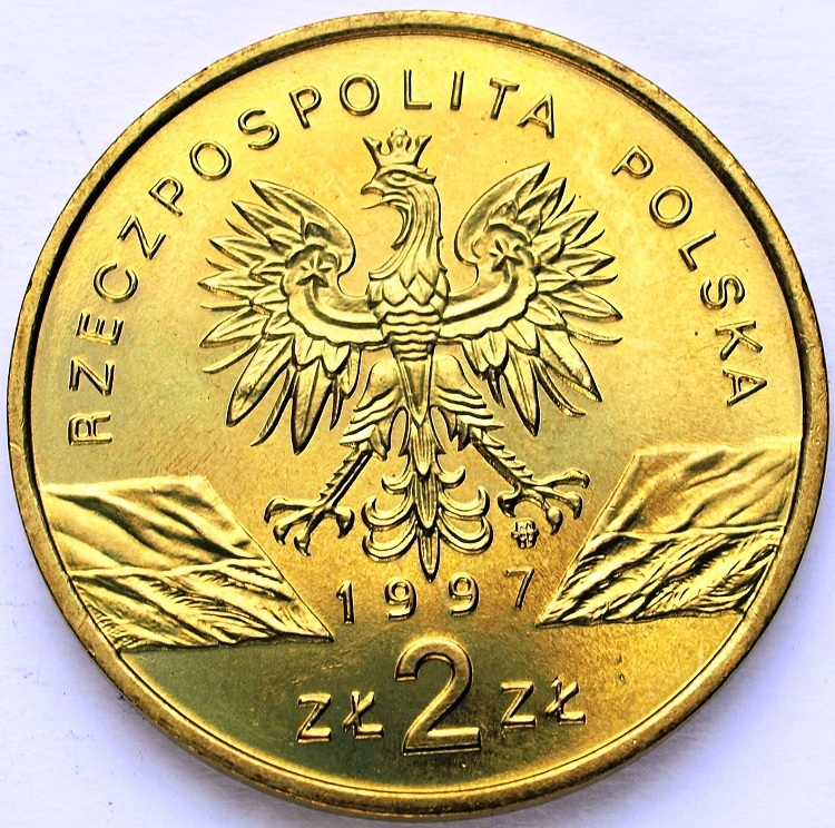 Zdjęcie 2