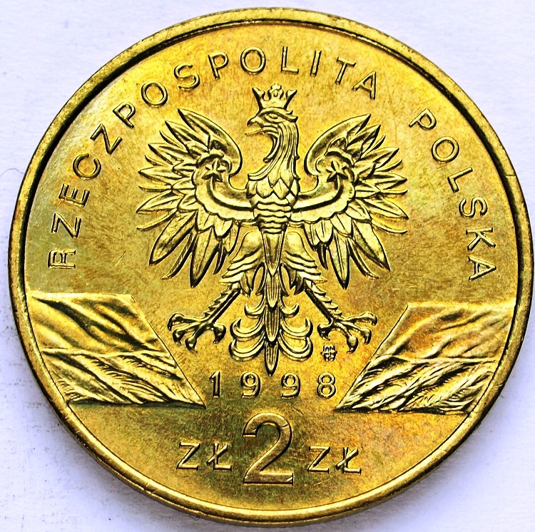 Zdjęcie 2
