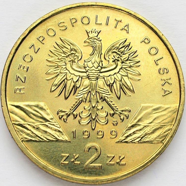 Zdjęcie 2