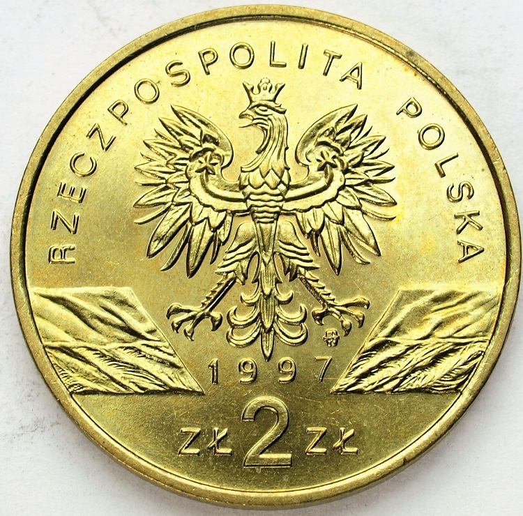 Zdjęcie 2