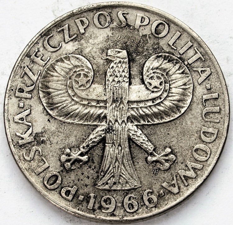 Zdjęcie 2
