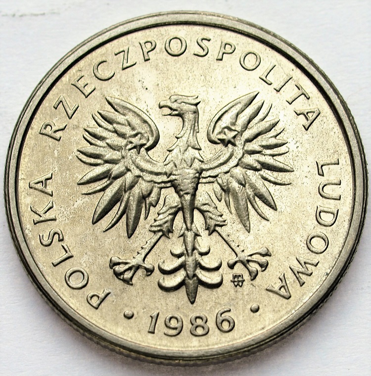 Zdjęcie 2