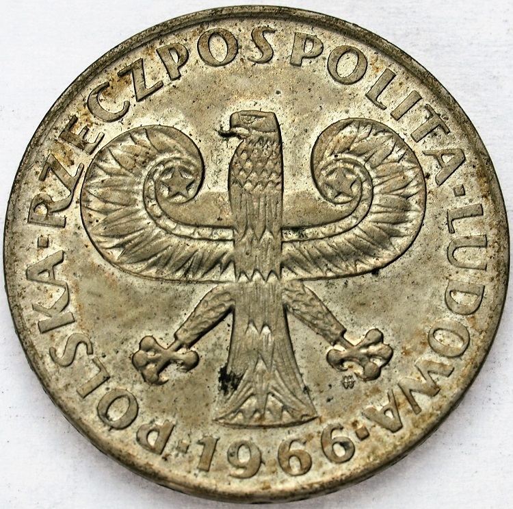 Zdjęcie 2