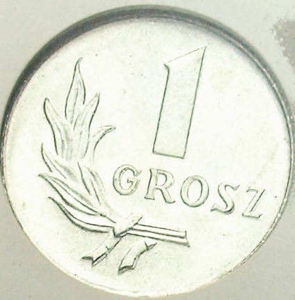 Zdjęcie 2