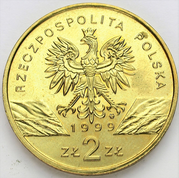 Zdjęcie 2