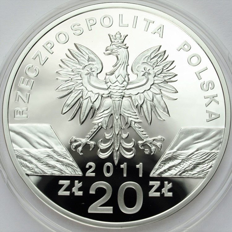 Zdjęcie 2