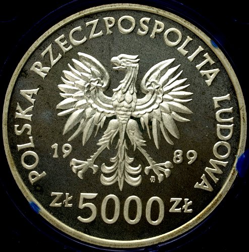 Zdjęcie 3