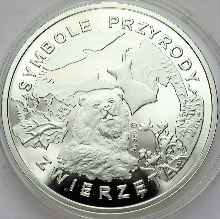 Zdjęcie 2
