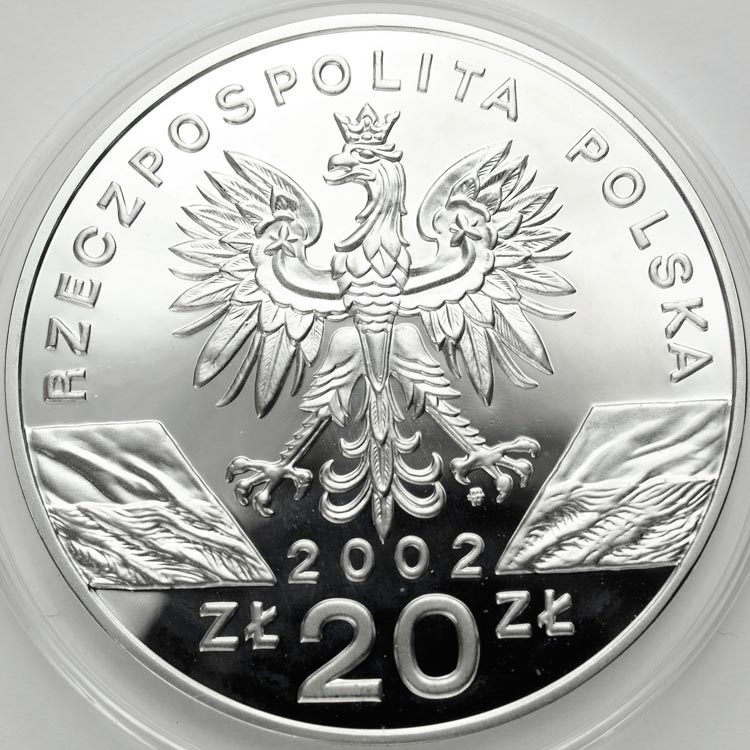 Zdjęcie 2