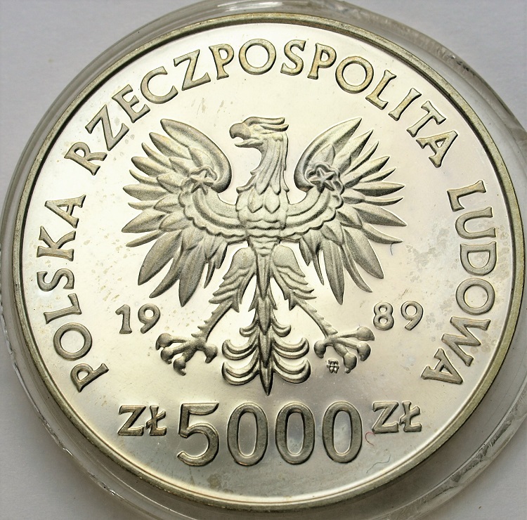 Zdjęcie 2