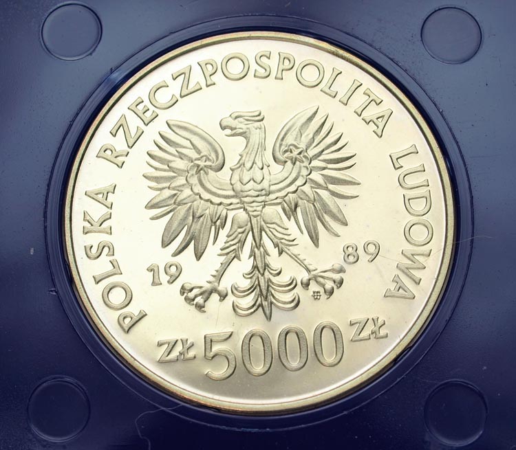 Zdjęcie 2