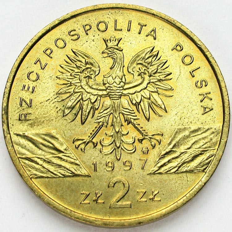 Zdjęcie 2
