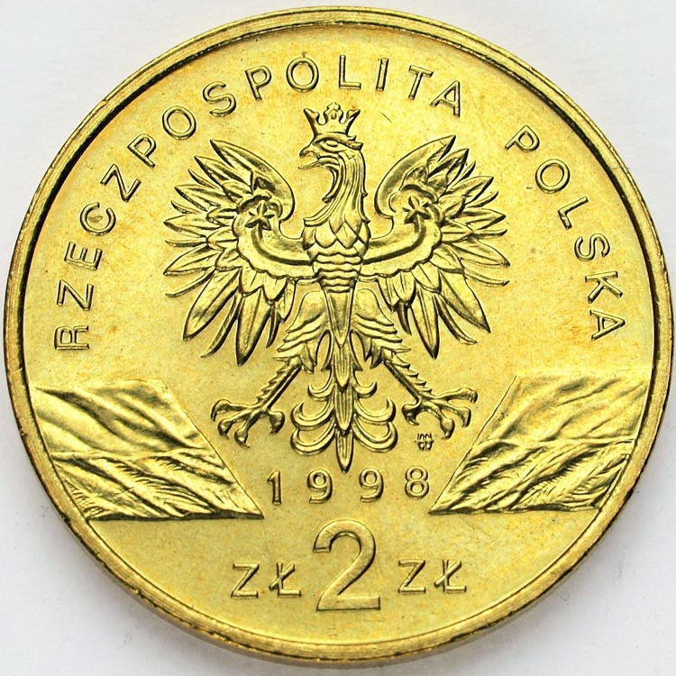Zdjęcie 2