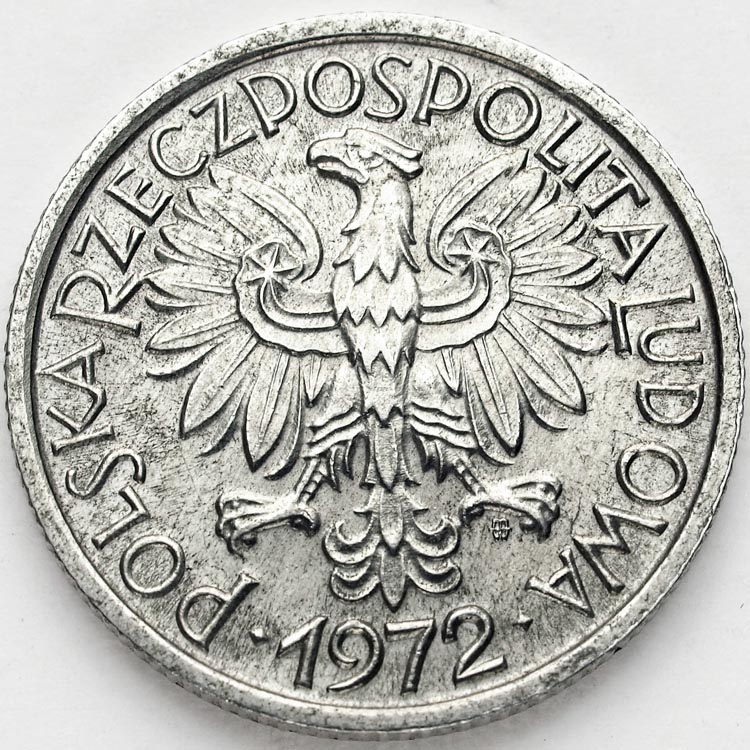 Zdjęcie 2