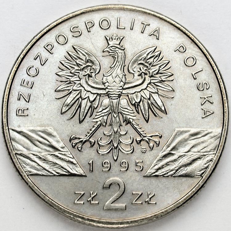 Zdjęcie 2