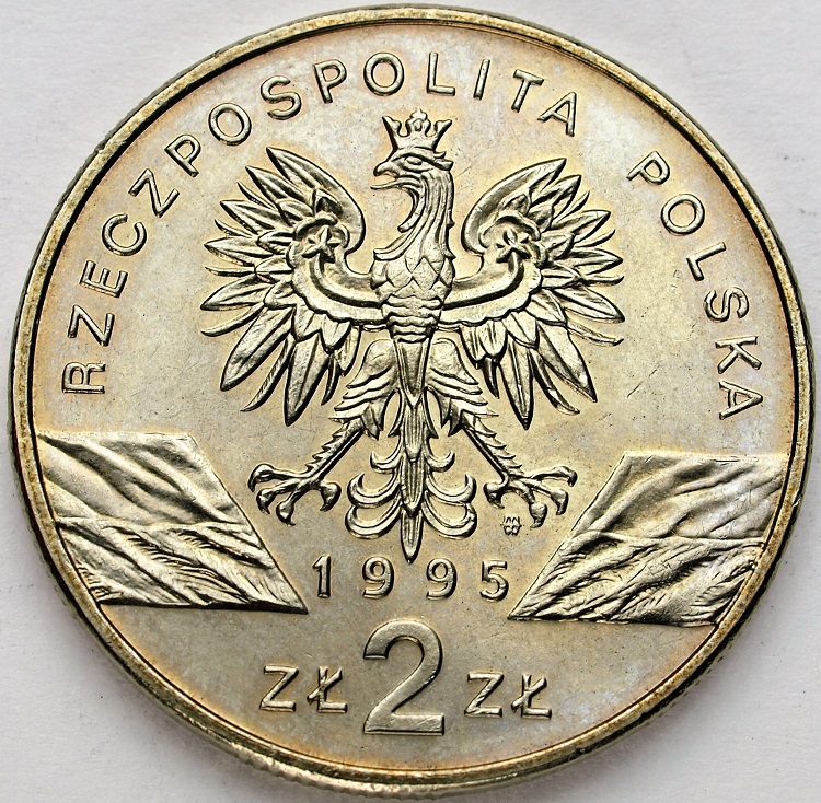 Zdjęcie 2