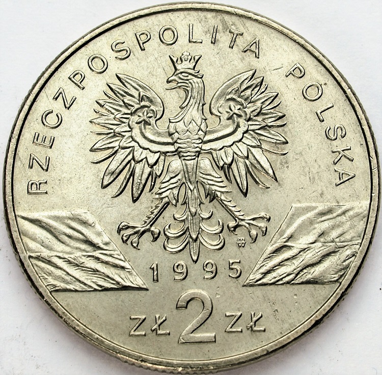 Zdjęcie 2
