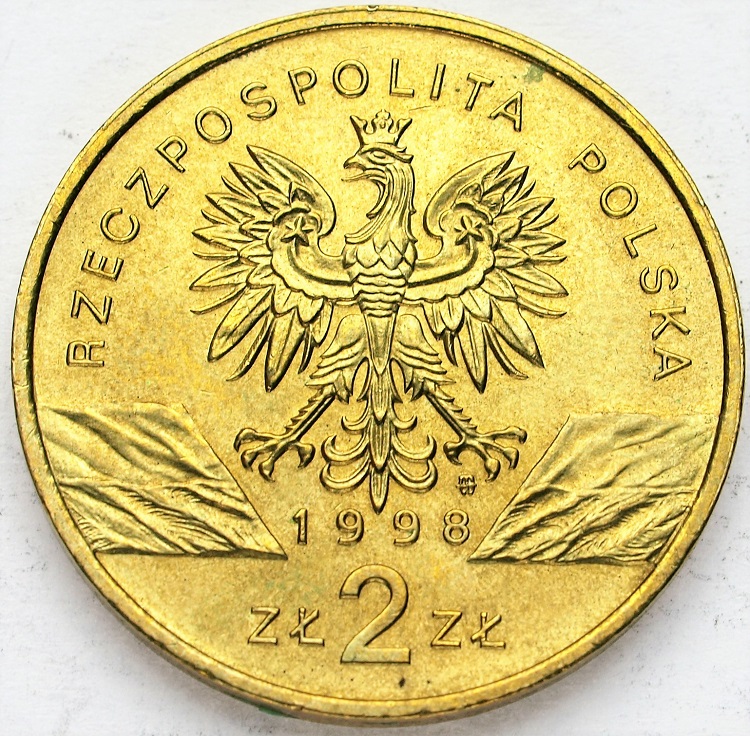 Zdjęcie 2