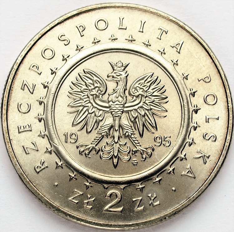 Zdjęcie 2