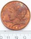 USA 1 dolar 1923 Peace 1 oz miedź KOPIA