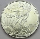 USA 1 dolar 2003 oz uncja One Silver Dollar SREBRO