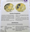 Polacy w II Wojnie Światowej Armia Krajowa