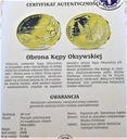 Polacy II Wojnie Światowej Obrona Kępy Oksywskiej