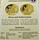 Bitwa Pod Budziszynem Polacy w II Wojnie Światowej