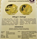 Oflagi i Stalagi Polacy w II Wojnie Światowej