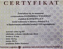 Sławni Polacy Kazimierz Wielki SREBRO