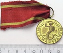 Medal Obrońcom Bojownikom Oswobodzicielom Złoty