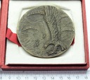 Medal Za Zasługi Dla 6 Pomorskiej Dywizji (1)