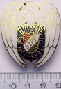 Odznaka 51 Pułk Piechoty Strzelców Kresowych