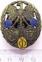 Odznaka 19 Pułk Piechoty