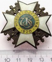 Odznaka 7 Pułk Strzelców Konnych