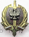 Medal W Służbie Narodu X