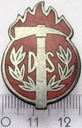 Odznaka strażacka DS Ochotnicza Straż Pożarna