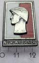 Odznaka Wzorowy Żołnierz SR